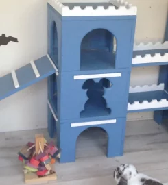 Bunnies on Holiday