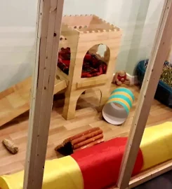 Bunnies on Holiday
