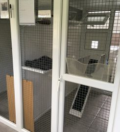 Palace Cattery