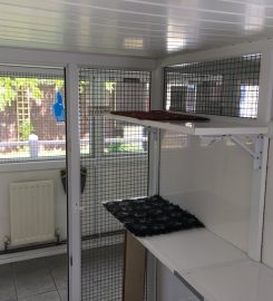 Palace Cattery