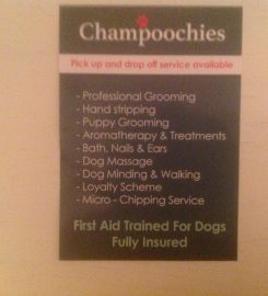 Champoochies Dog Grooming