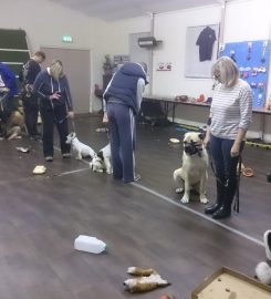 RDC Dog Training