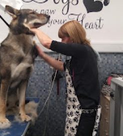 Doggy Style Mobile Grooming