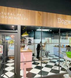 DOGWOOD BRIGHTON PRESTON PARK PET GROOMING SPA