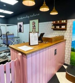 DOGWOOD HENLEY-ON-THAMES PET GROOMING SPA