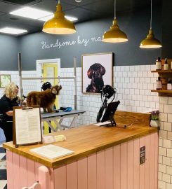 DOGWOOD SALISBURY PET GROOMING SPA