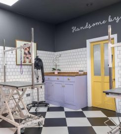 DOGWOOD ASHFORD PET GROOMING SPA