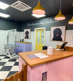 DOGWOOD LEWES PET GROOMING SPA