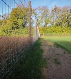 Paw Paddock Moundsmere