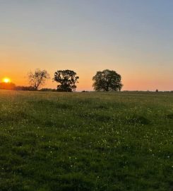 Safe & Hound Secure Field