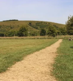 Paw Paddock East Meon