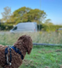 Puppy School – Sussex