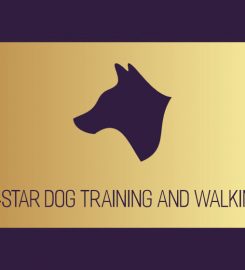 A-Star Dog Training and Walking