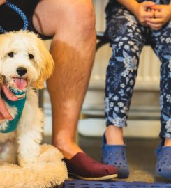 Pawsitive Puppy School