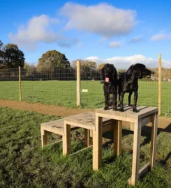 Paw Paddock Ashington