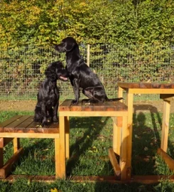 Paw Paddock Moundsmere