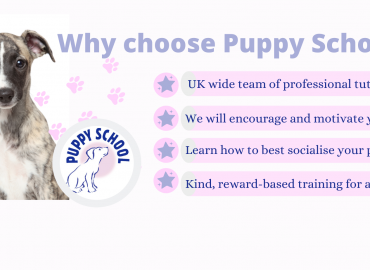 Puppy School Dartford