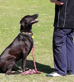 Farsley Dog Training School