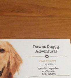 Dawn’s Doggy Adventures