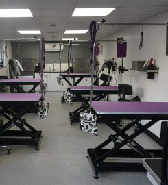 Sue Oliver Dog Grooming Studio