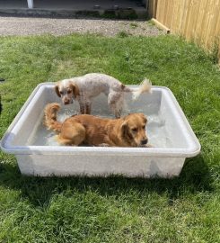 Oxford Secure Dog Walking Field