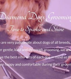 Diamond Dogs Grooming