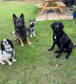Dog Walkers Faringdon
