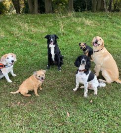 Friends For Pets (Bristol)