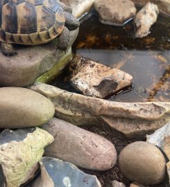 Tortoise Hotel