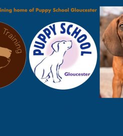 Puppy School Gloucester