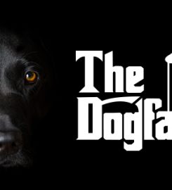 The Dogfather