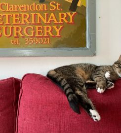 Clarendon Street Veterinary Surgery