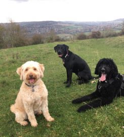 Friends For Pets (Bath)