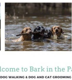 Bark in the Park