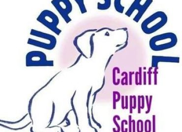 Cardiff Puppy School