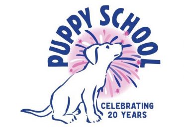 Puppy School Dartford