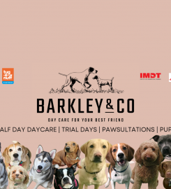 BarkleyandCo