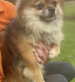 Bancroft Boarding Kennels And Cattery