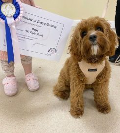 Puppy School Wakefield