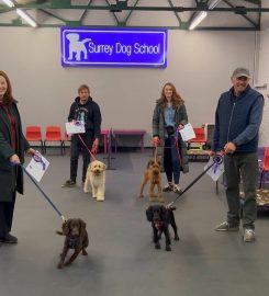 Surrey Dog School