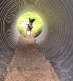 Happy Hounds Dog Training & Secure Dog Walking Fields