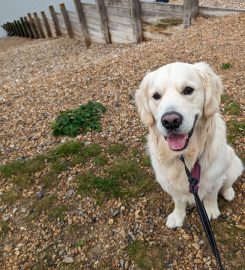 Whitstable Pet Sitting