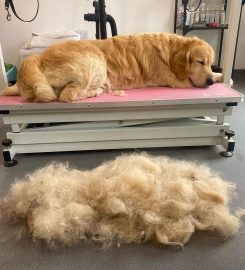 Doggy Style Dog Grooming