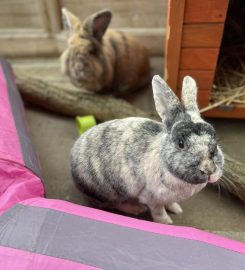 Oxfordshire Animal Sanctuary