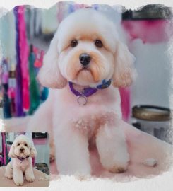 Doggie Style Pet grooming