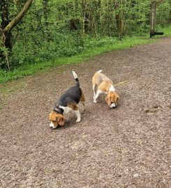 Friends For Pets (Wells and Shepton Mallet)