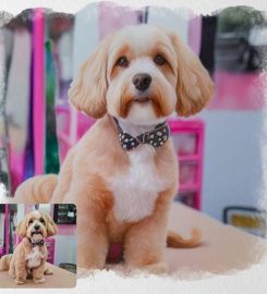 Doggie Style Pet grooming