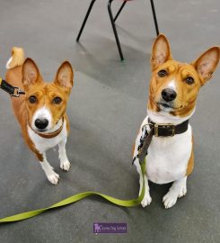 Surrey Dog School