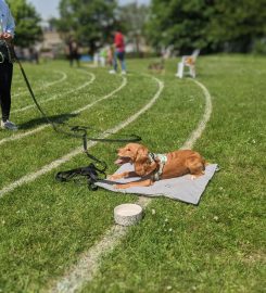 Puppy School Streatham