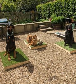 Puppy School Crystal Palace